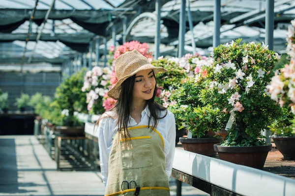 Ganska Kvinnlig Trädgårdsmästare Hand Växter Hennes Blommor Och Växter Shop — Stockfoto