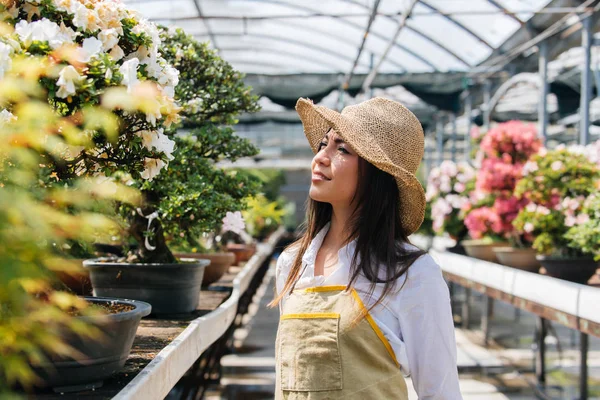 Ganska Kvinnlig Trädgårdsmästare Hand Växter Hennes Blommor Och Växter Shop — Stockfoto