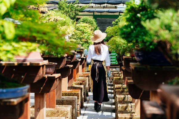 Hübsche Gärtnerin Pflegt Pflanzen Ihrem Blumengeschäft Asiatin Arbeitet Einem Gewächshaus — Stockfoto