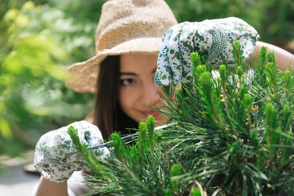 かなり女性庭師彼女の花や植物のショップ 温室で働くアジアの女性の植物の世話 — ストック写真