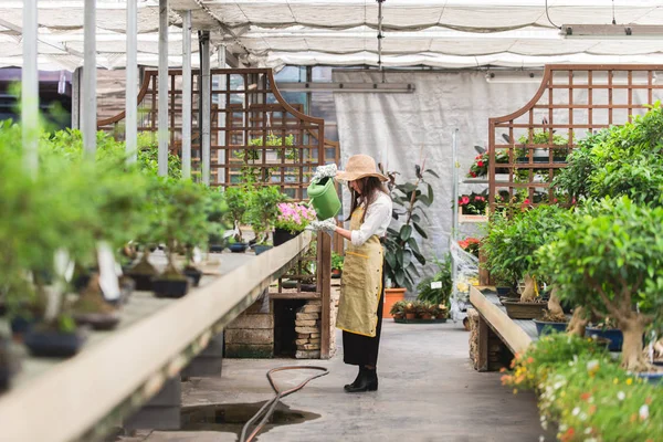 Hübsche Gärtnerin Pflegt Pflanzen Ihrem Blumengeschäft Asiatin Arbeitet Einem Gewächshaus — Stockfoto