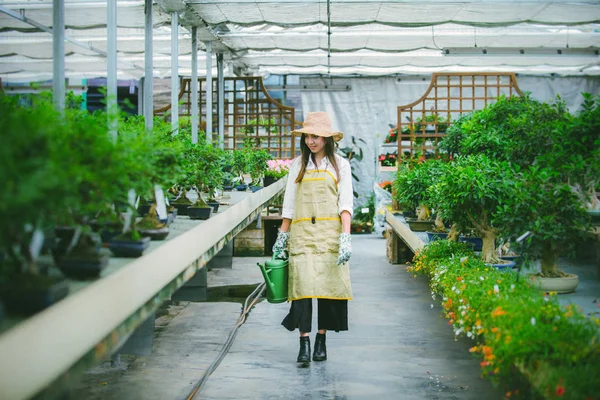 Grădinar Destul Femeie Care Grijă Plante Magazinul Flori Plante Femeie — Fotografie, imagine de stoc