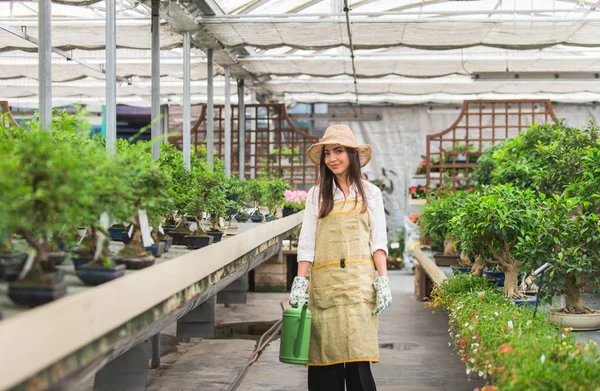 Ganska Kvinnlig Trädgårdsmästare Hand Växter Hennes Blommor Och Växter Shop — Stockfoto