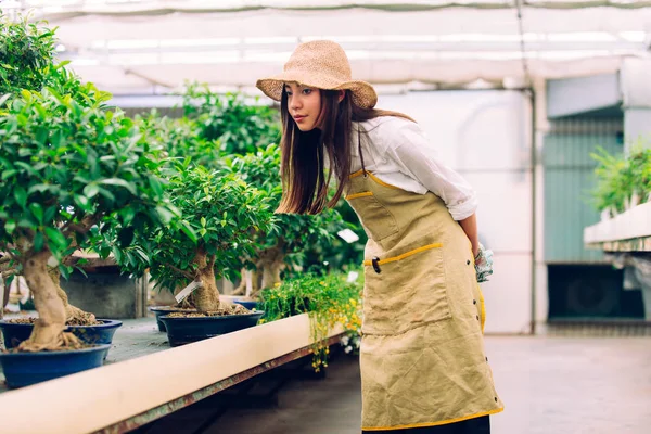 Ganska Kvinnlig Trädgårdsmästare Hand Växter Hennes Blommor Och Växter Shop — Stockfoto