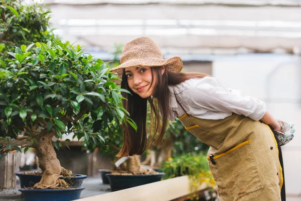 Hübsche Gärtnerin Pflegt Pflanzen Ihrem Blumengeschäft Asiatin Arbeitet Einem Gewächshaus — Stockfoto