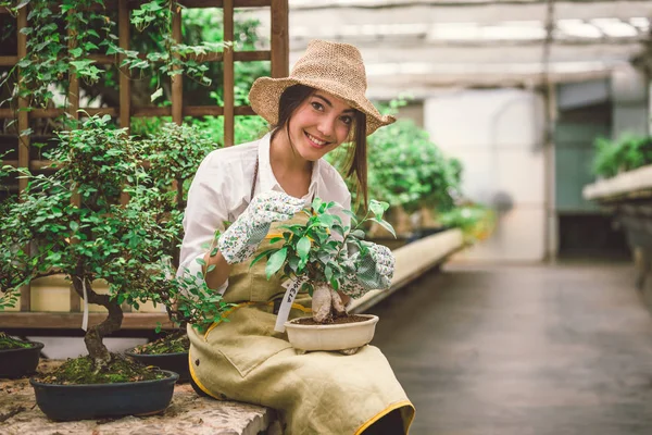 Piuttosto Giardiniere Femminile Prendersi Cura Piante Nel Suo Negozio Fiori — Foto Stock