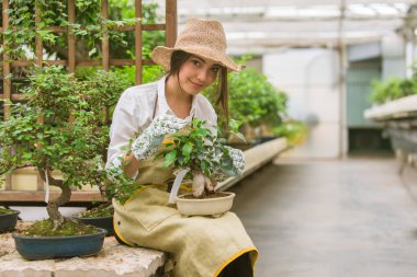 Ona çiçek ve bitki dükkanı - bir serada çalışan Asyalı kadın bitkilerde bakımı oldukça kadın bahçıvan