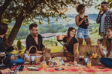 Piknik açık havada - eğleniyor ve ata barbacue parti bir kırsal kesimde ızgara kutluyor insanlar sahip genç mutlu arkadaş grubu
