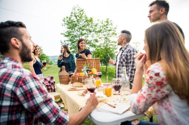 Piknik açık havada - eğleniyor ve ata barbacue parti bir kırsal kesimde ızgara kutluyor insanlar sahip genç mutlu arkadaş grubu