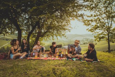 Piknik açık havada - eğleniyor ve ata barbacue parti bir kırsal kesimde ızgara kutluyor insanlar sahip genç mutlu arkadaş grubu