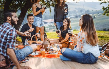 Piknik açık havada - eğleniyor ve ata barbacue parti bir kırsal kesimde ızgara kutluyor insanlar sahip genç mutlu arkadaş grubu