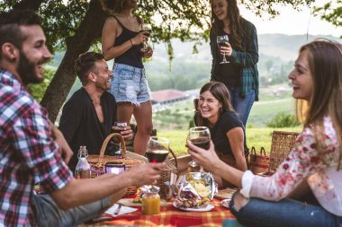 Piknik açık havada - eğleniyor ve ata barbacue parti bir kırsal kesimde ızgara kutluyor insanlar sahip genç mutlu arkadaş grubu