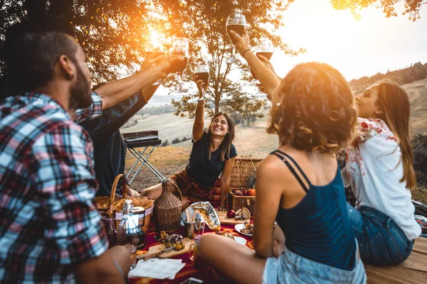 Grupo Jovens Amigos Felizes Ter Pic Nic Livre Pessoas Divertindo — Fotografia de Stock