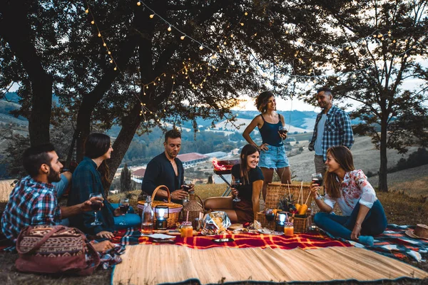 Gruppe Junger Glücklicher Freunde Beim Picknick Freien Leute Die Spaß — Stockfoto