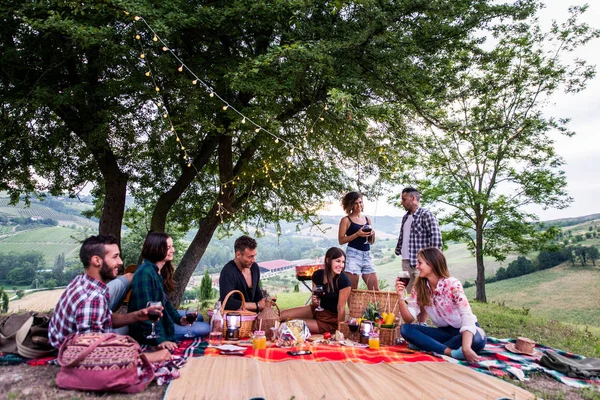 Gruppe Junger Glücklicher Freunde Beim Picknick Freien Leute Die Spaß — Stockfoto