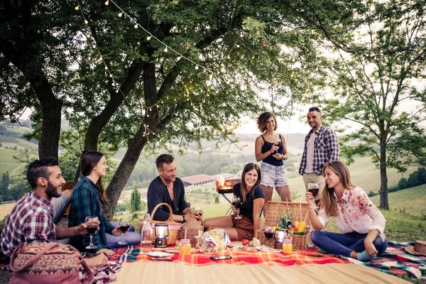 Gruppe Junger Glücklicher Freunde Beim Picknick Freien Leute Die Spaß — Stockfoto