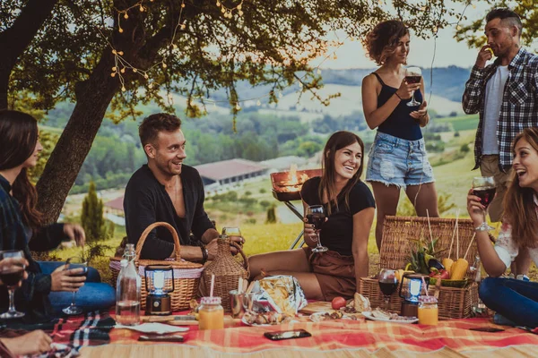 Group Young Happy Friends Having Pic Nic Outdoors People Having — Stock Photo, Image