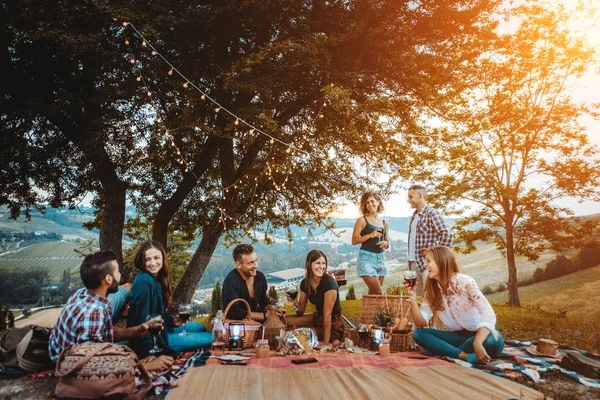 Gruppe Junger Glücklicher Freunde Beim Picknick Freien Leute Die Spaß — Stockfoto