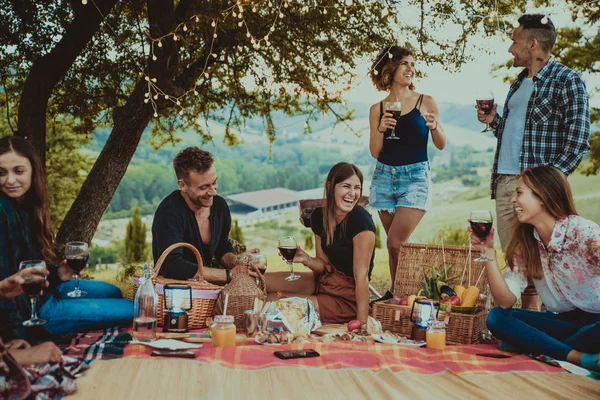 Grupo Jovens Amigos Felizes Ter Pic Nic Livre Pessoas Divertindo — Fotografia de Stock