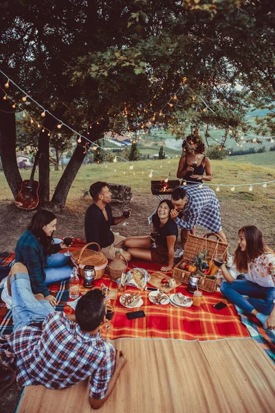 Groupe Jeunes Amis Heureux Ayant Pic Nic Plein Air Les — Photo