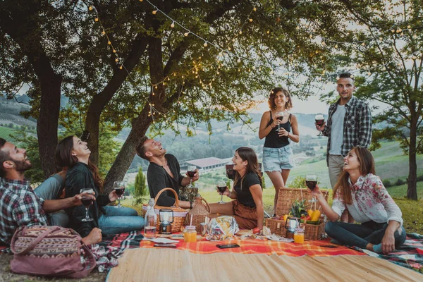 Grupo Jovens Amigos Felizes Ter Pic Nic Livre Pessoas Divertindo — Fotografia de Stock