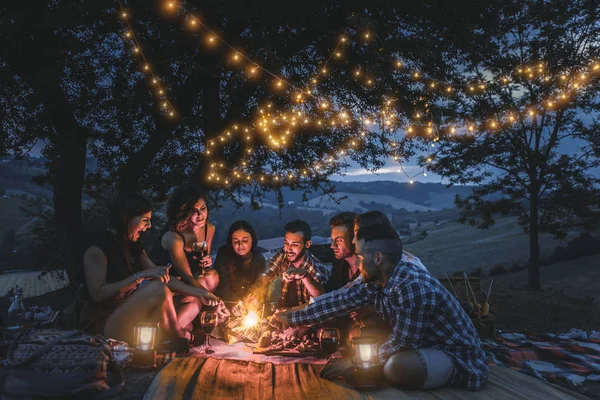 Skupina Mladých Šťastný Přátel Mají Piknik Venku Lidé Baví Slaví — Stock fotografie