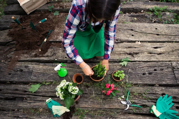 Frau Arbeitet Ihrem Garten Und Pflanzt Eine Pflanze Eine Vase — Stockfoto