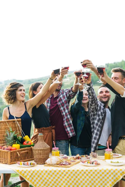 Skupina Mladých Šťastný Přátel Mají Piknik Venku Lidé Baví Slaví — Stock fotografie