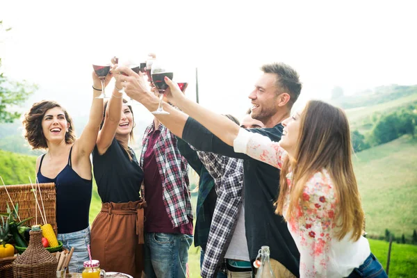 Skupina Mladých Šťastný Přátel Mají Piknik Venku Lidé Baví Slaví — Stock fotografie