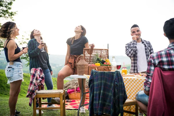 Grup Tineri Prieteni Fericiți Picnic Aer Liber Oameni Care Distrează — Fotografie, imagine de stoc