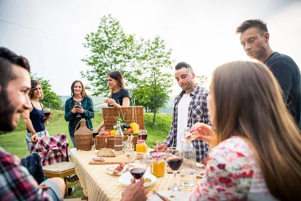 Grupp Unga Glada Vänner Med Pic Nic Utomhus Människor Att — Stockfoto