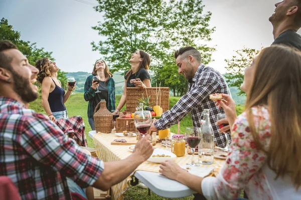 Group Friends Making Barbecue Nature Happy People Having Fun Pic — Stock Photo, Image