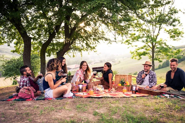 Skupina Mladých Šťastný Přátel Mají Piknik Venku Lidé Baví Slaví — Stock fotografie