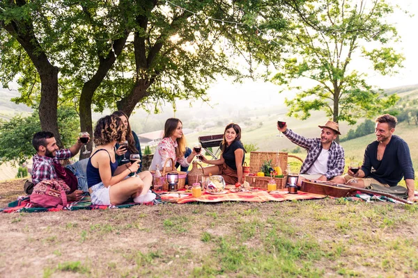 Grupa Młodych Przyjaciół Happy Posiadające Piknik Zewnątrz Ludzi Zabawy Okazji — Zdjęcie stockowe