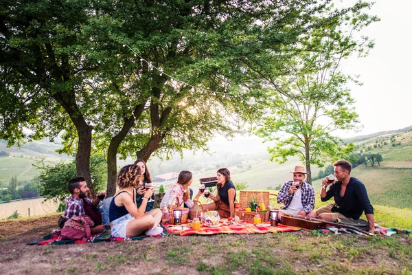 Skupina Mladých Šťastný Přátel Mají Piknik Venku Lidé Baví Slaví — Stock fotografie