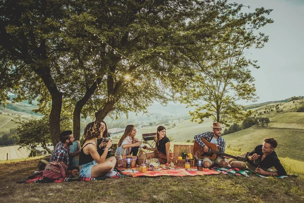 Группа Молодых Счастливых Друзей Имеющих Пикник Открытом Воздухе Люди Веселятся — стоковое фото