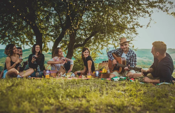 Group Young Happy Friends Having Pic Nic Outdoors People Having — Stock Photo, Image