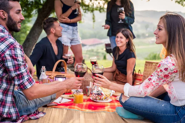 Grupo Jovens Amigos Felizes Ter Pic Nic Livre Pessoas Divertindo — Fotografia de Stock