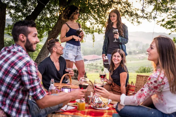 Grupo Jóvenes Amigos Felices Haciendo Pic Nic Aire Libre Personas — Foto de Stock