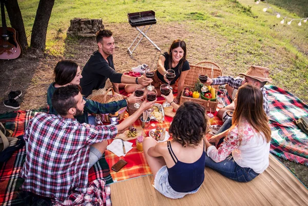 Grupo Jovens Amigos Felizes Ter Pic Nic Livre Pessoas Divertindo — Fotografia de Stock