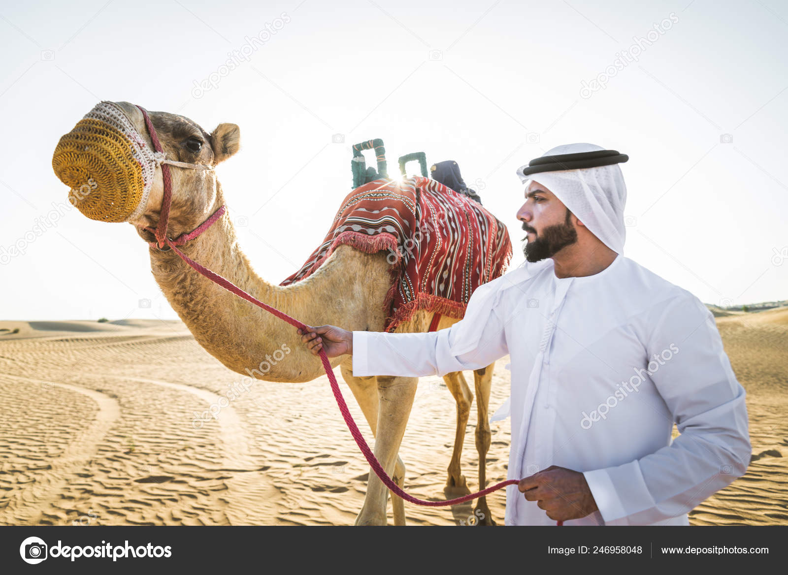 Handsome Middle Eastern Man Kandura Gatra Riding Camel Desert Stock Photo Image By C Oneinchpunch 246958048