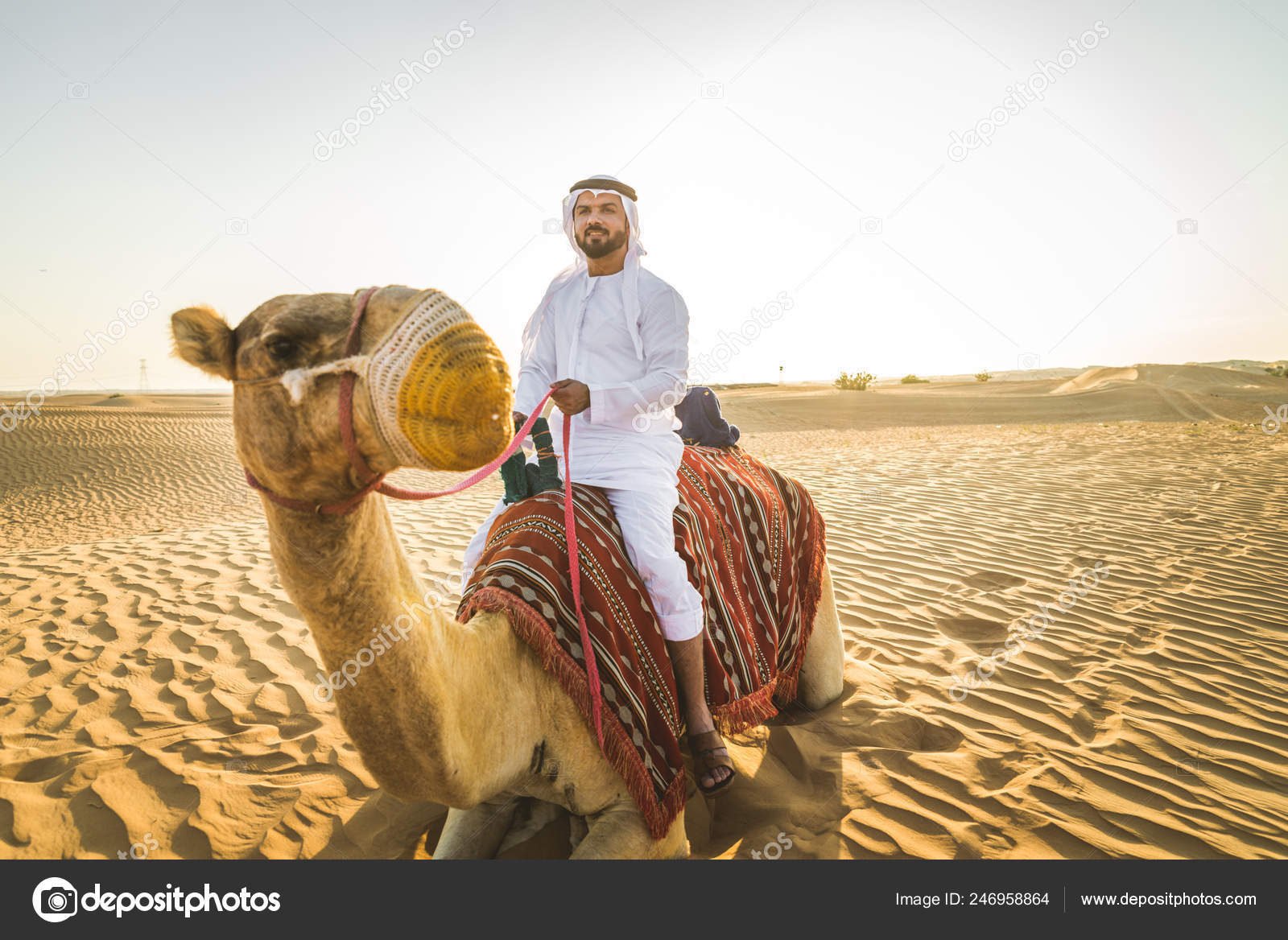 英俊的中东男人与坎杜拉和加特拉骑在骆驼在沙漠中 图库照片 C Oneinchpunch