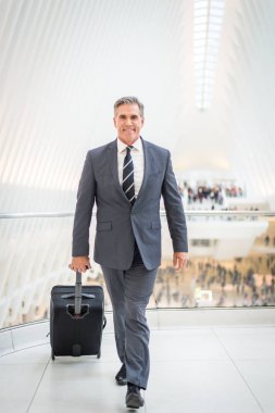 Üst düzey şirket yöneticisi ile zarif uygun açık havada - New York işadamı