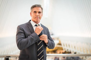 Üst düzey şirket yöneticisi ile zarif uygun açık havada - New York işadamı