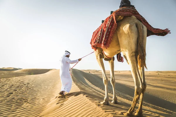 Bell Uomo Mediorientale Con Kandura Gatra Che Cavalca Cammello Nel — Foto Stock