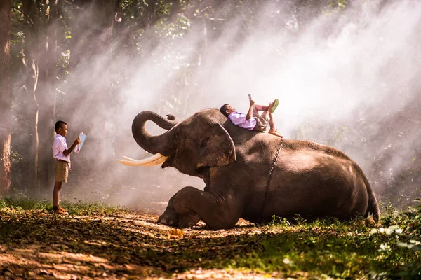 Слон и школьник в Таиланде — стоковое фото