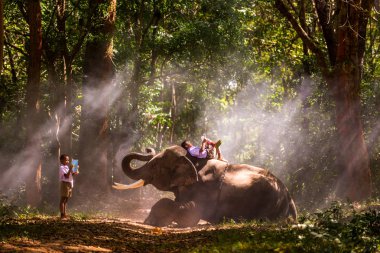 Tayland fil ve okul çocuk