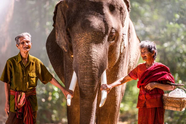 Elefante e coppia di anziani in Thailandia — Foto Stock