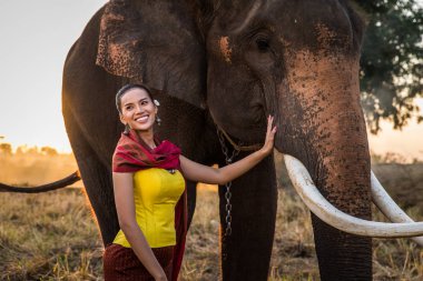 Tayland fil ve kadın