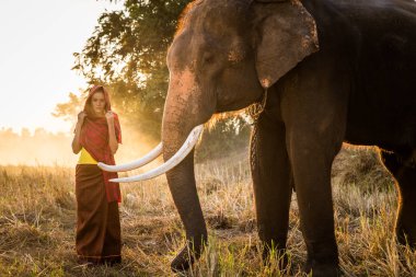 Tayland fil ve kadın
